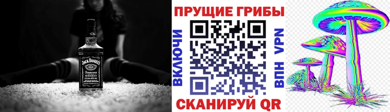 дарнет шоп  Лодейное Поле  Псилоцибиновые грибы Psilocybe 