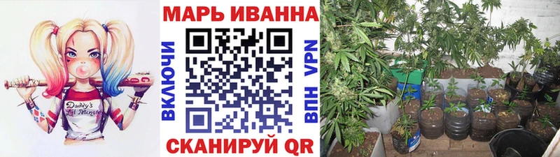 Бошки Шишки THC 21%  Лодейное Поле 